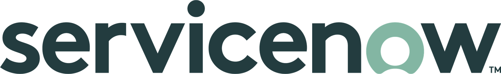 Staff IT Program Manager